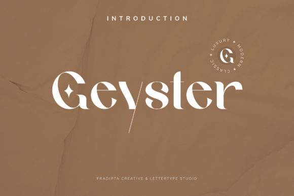 How Geyster Transformed My Brand's Visual Identity